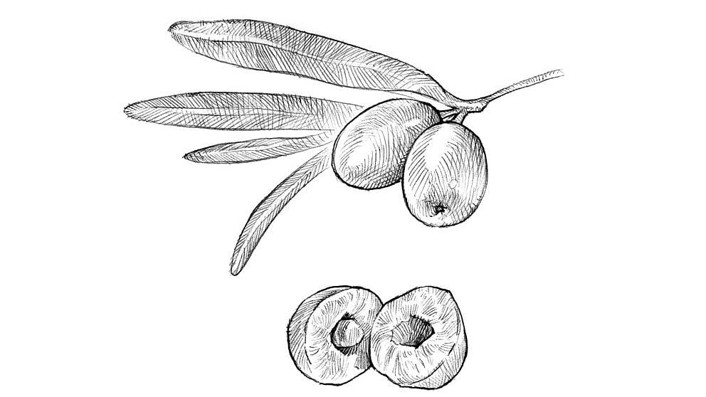 seabuckthorn_berry.jpg