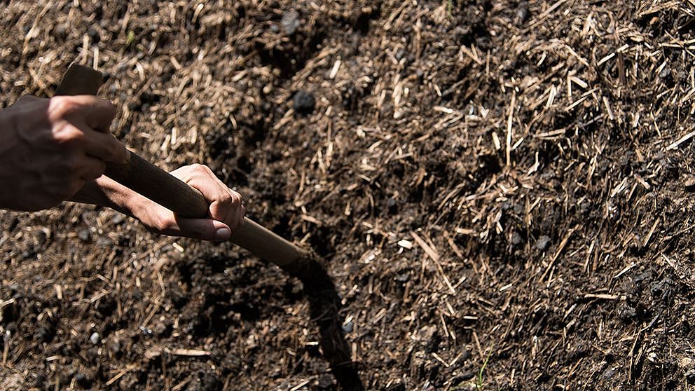 hands_holding_spade_in_compost